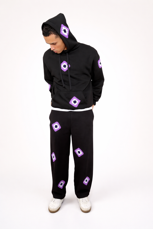 Ensemble IRIS