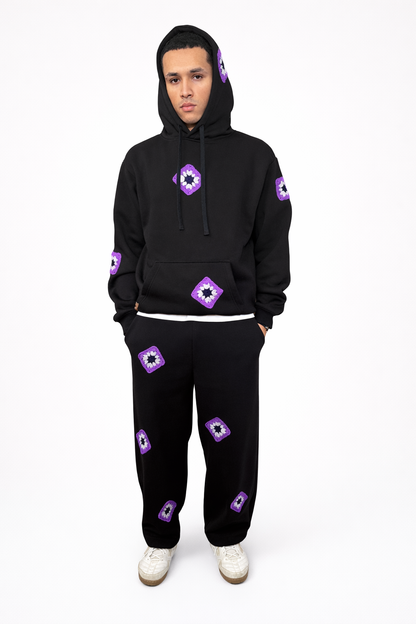 Ensemble IRIS